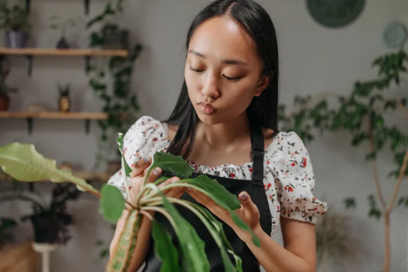 Leaf Talk: What Your Houseplants Are Begging You to Fix