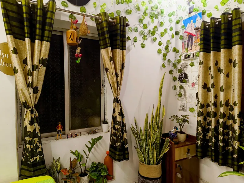 Dim Room, Green Dreams: 7 Houseplants That Don't Need a Sunny Window