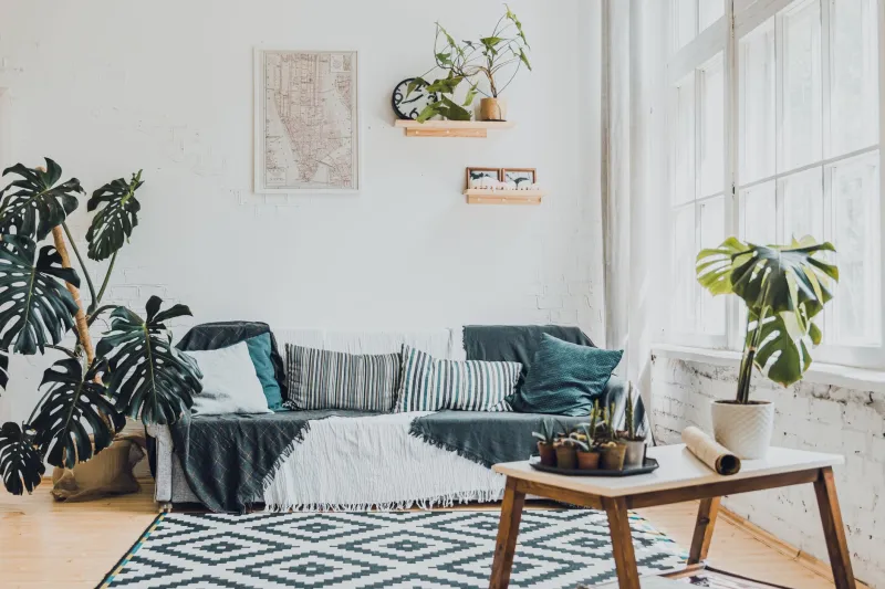 The Real Price Tag of a Plant-Filled Home: Budgeting for Your Indoor Jungle