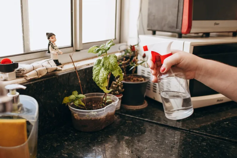 Rent Now, Green Forever: Reversible Eco Upgrades That Won't Upset Your Landlord