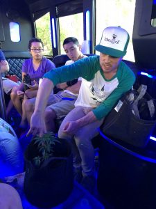 Green Carpet Growing is all aboard the magic bus with West Coast Cannabis Tour