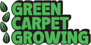 Green-Carpet-Growing Logo