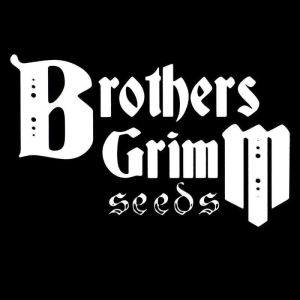 Brothers Grimm Seeds logo