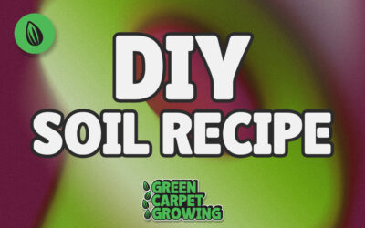 Organic Soil Recipe